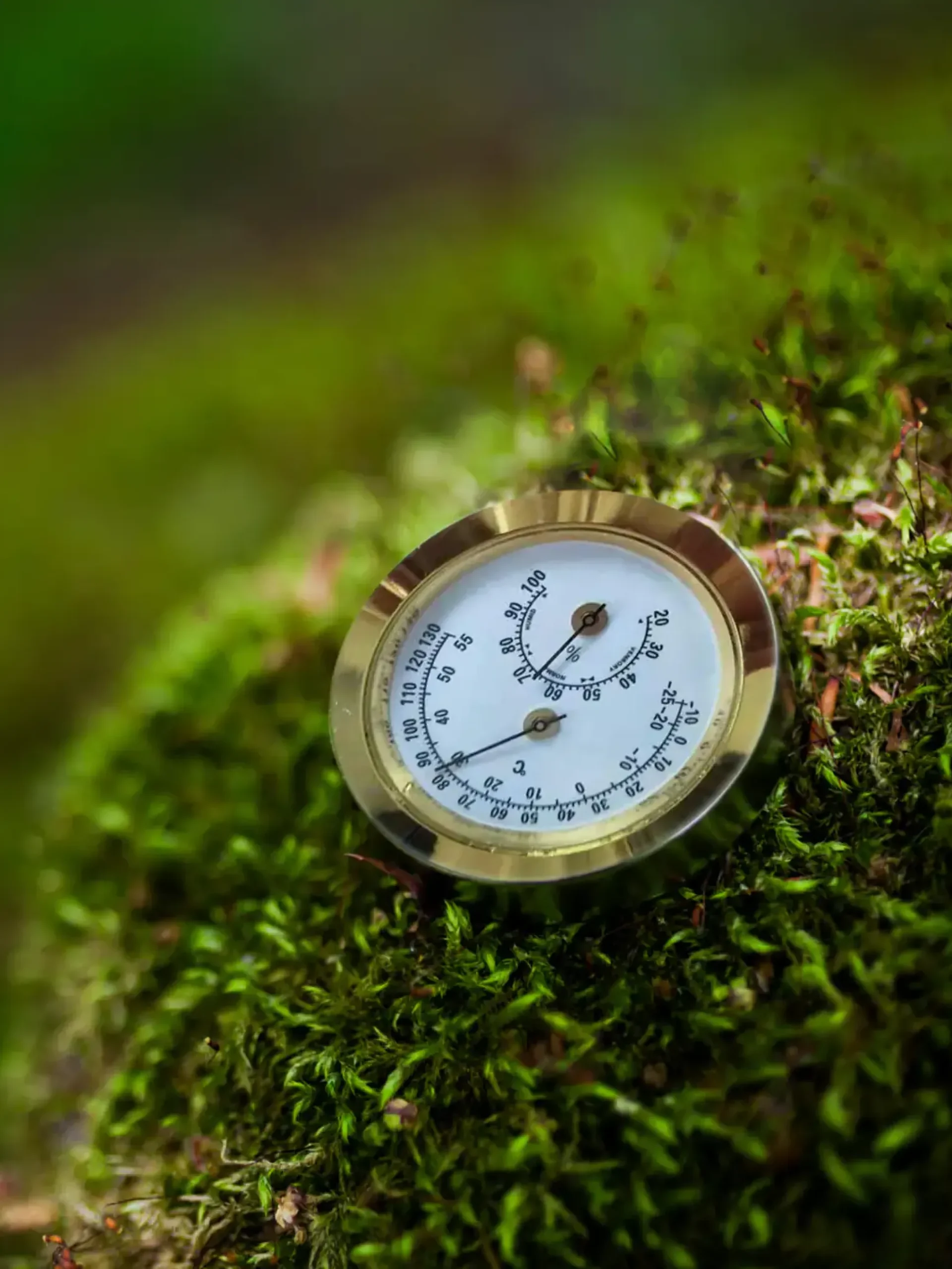 Vitavia Hygrometer