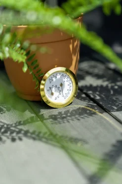 Vitavia Hygrometer