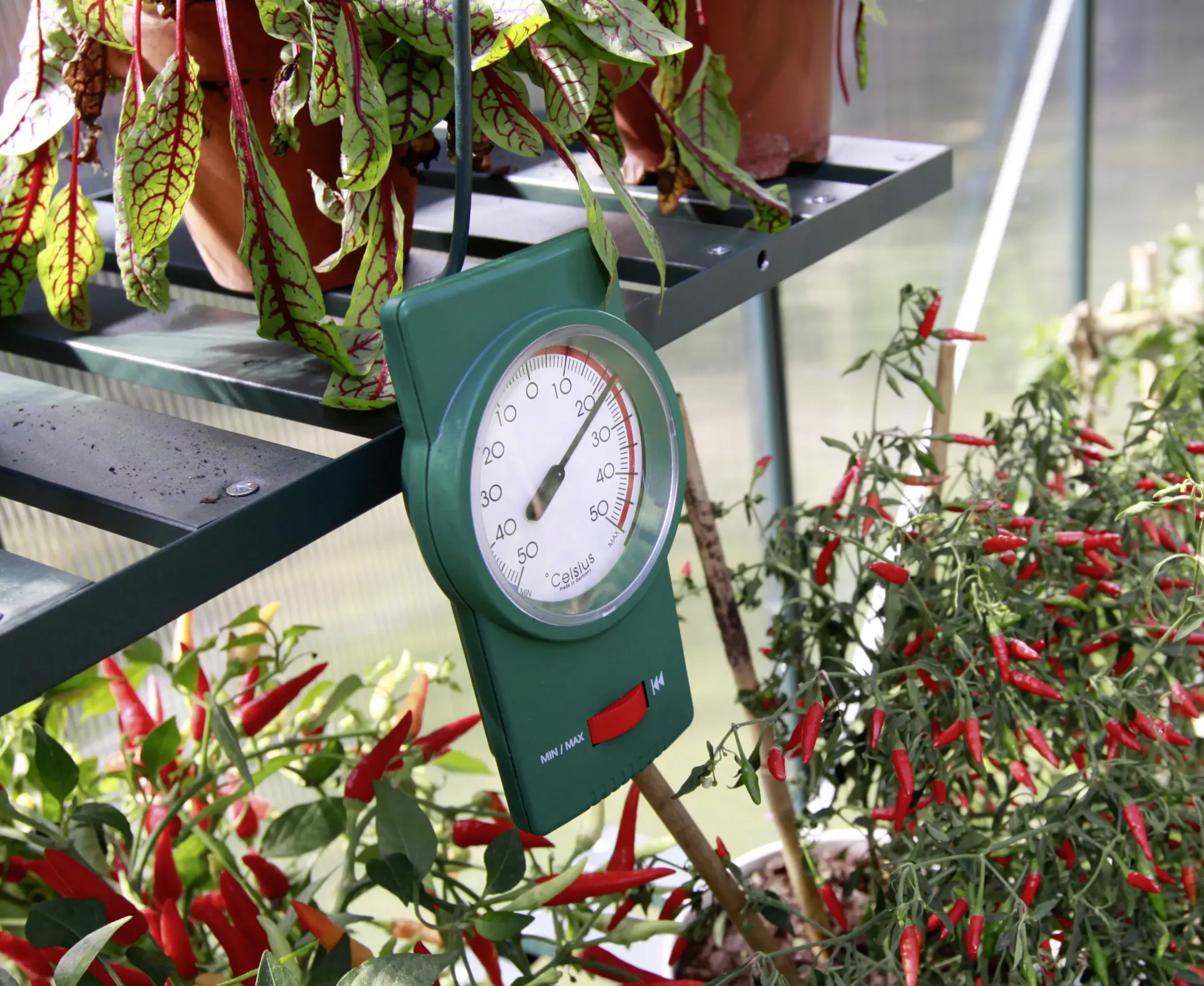 Vitavia Min-Max-Thermometer