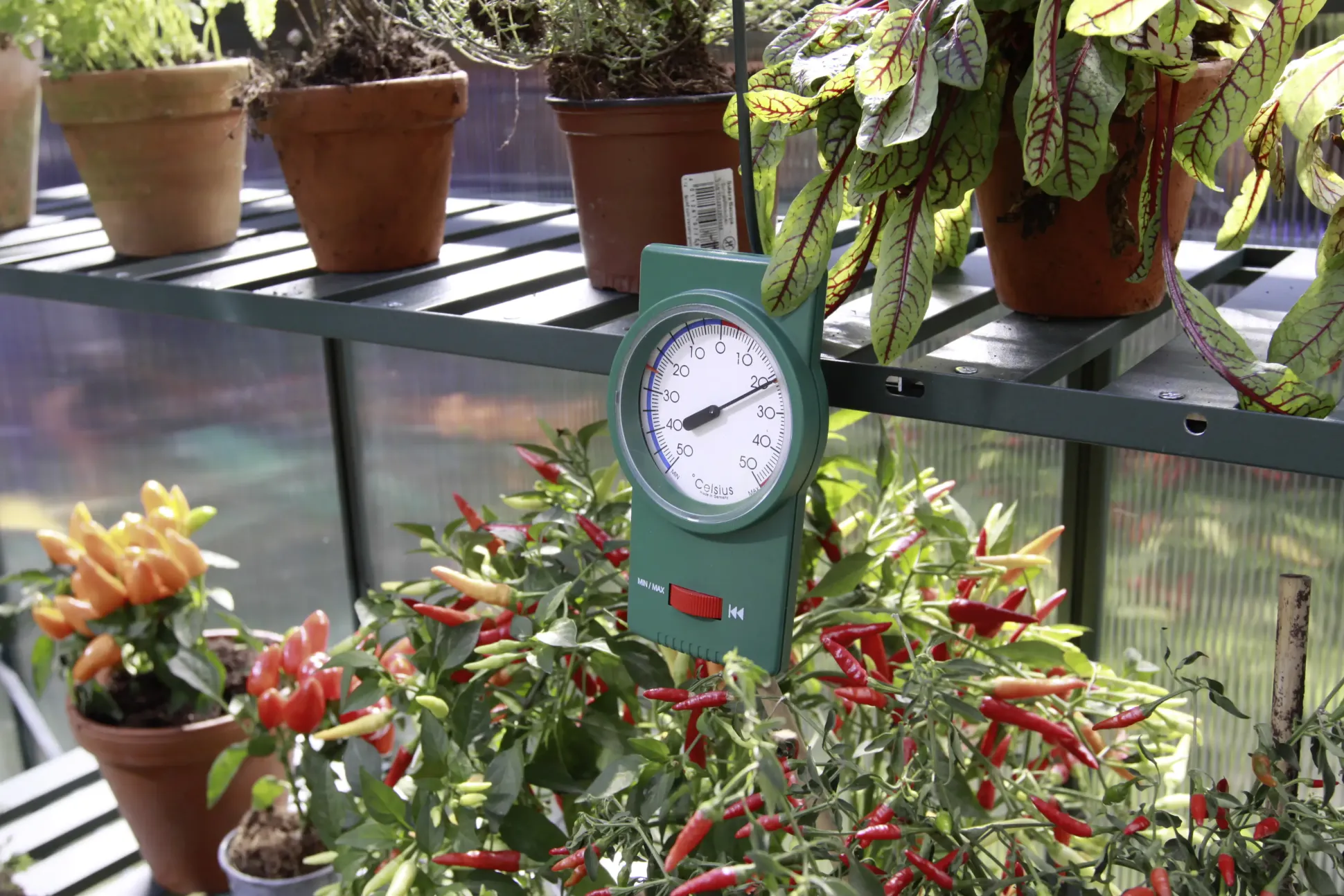 Vitavia Min-Max-Thermometer