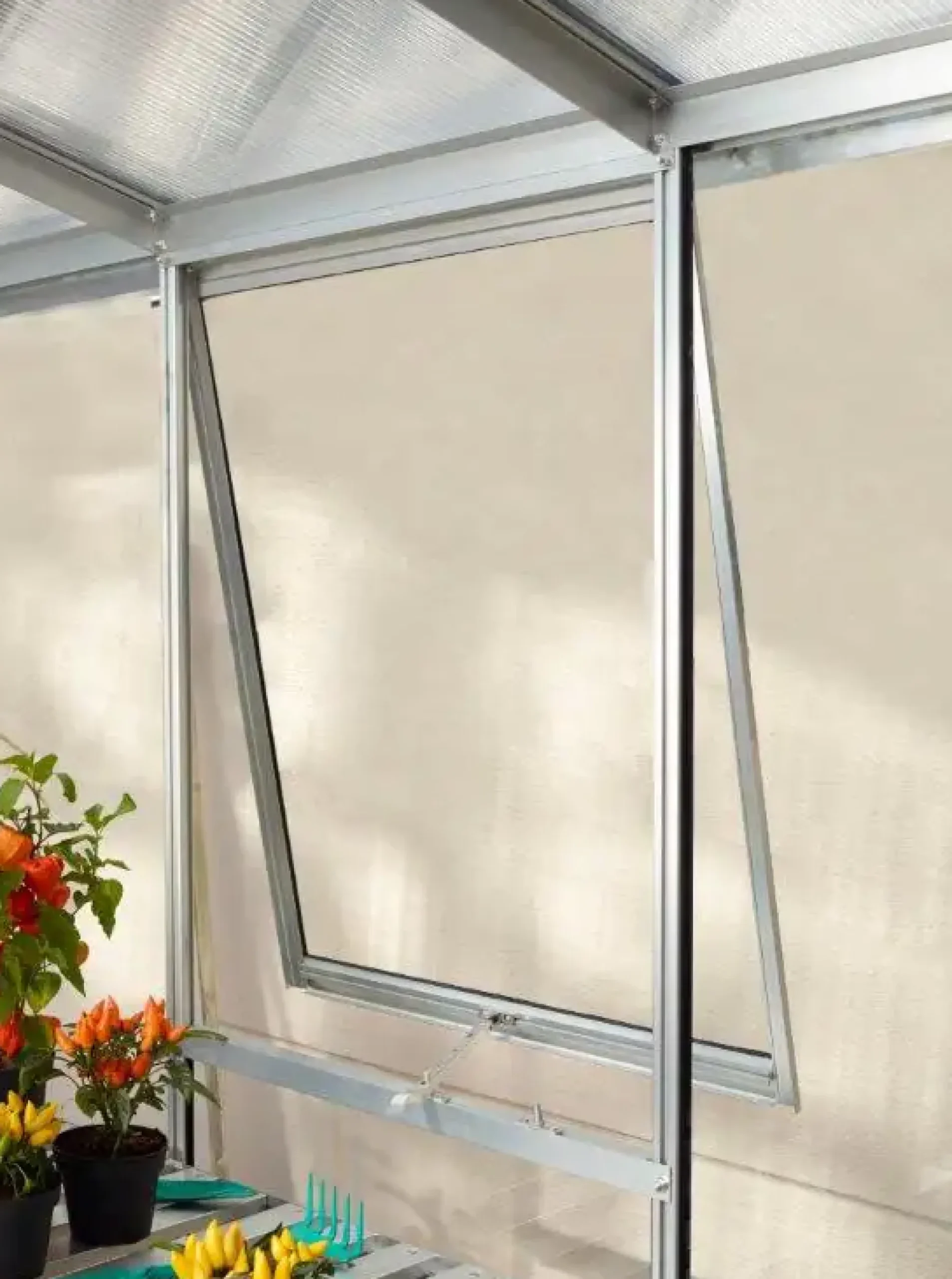 Vitavia Seitenfenster V zu Venus Apollo Freya Diana Uranus Cassandra Merkur