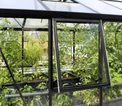 Vitavia Seitenfenster Z zu Gewächshaus Zeus schwarz