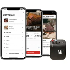 Weber Connect Smart Grilling Hub