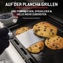 Weber Gasgrill Spirit E-335, Grillfläche: 52 x 44 cm