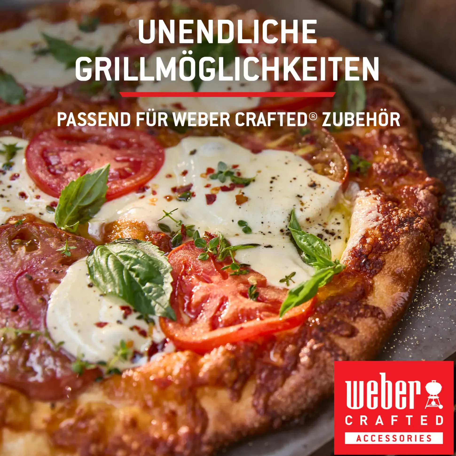 Weber Gasgrill Spirit E210 Grillfläche: 52 x 45 cm