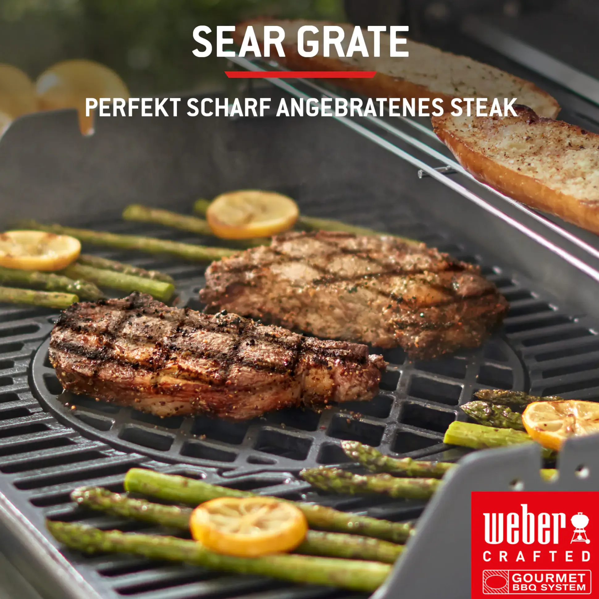 Weber Gasgrill Spirit E210 Grillfläche: 52 x 45 cm