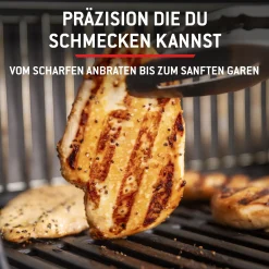 Weber Gasgrill Spirit E210 Grillfläche: 52 x 45 cm
