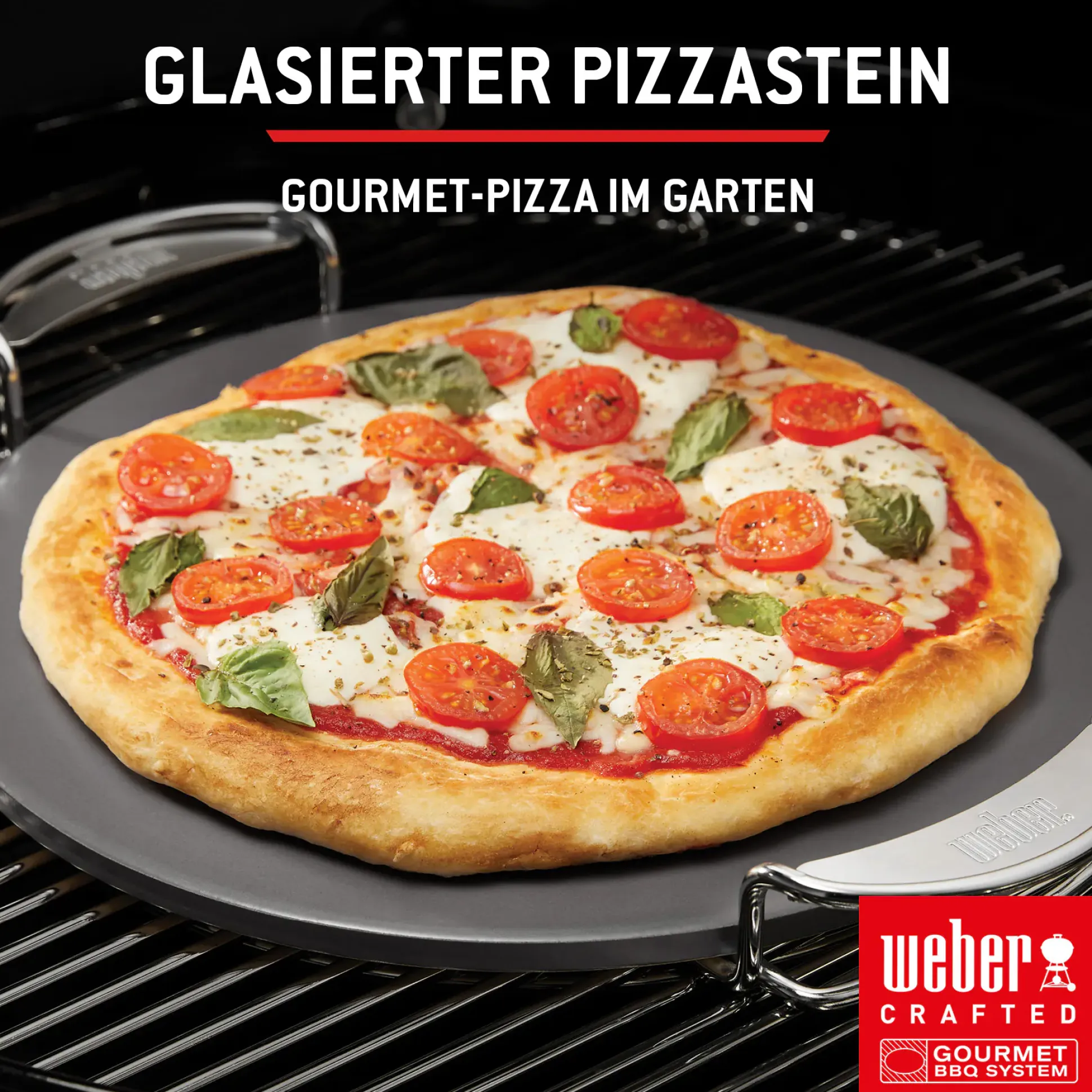 Weber Gasgrill Spirit E210 Grillfläche: 52 x 45 cm