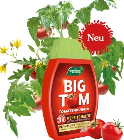 Westland Big Tom Tomatendünger 1 l