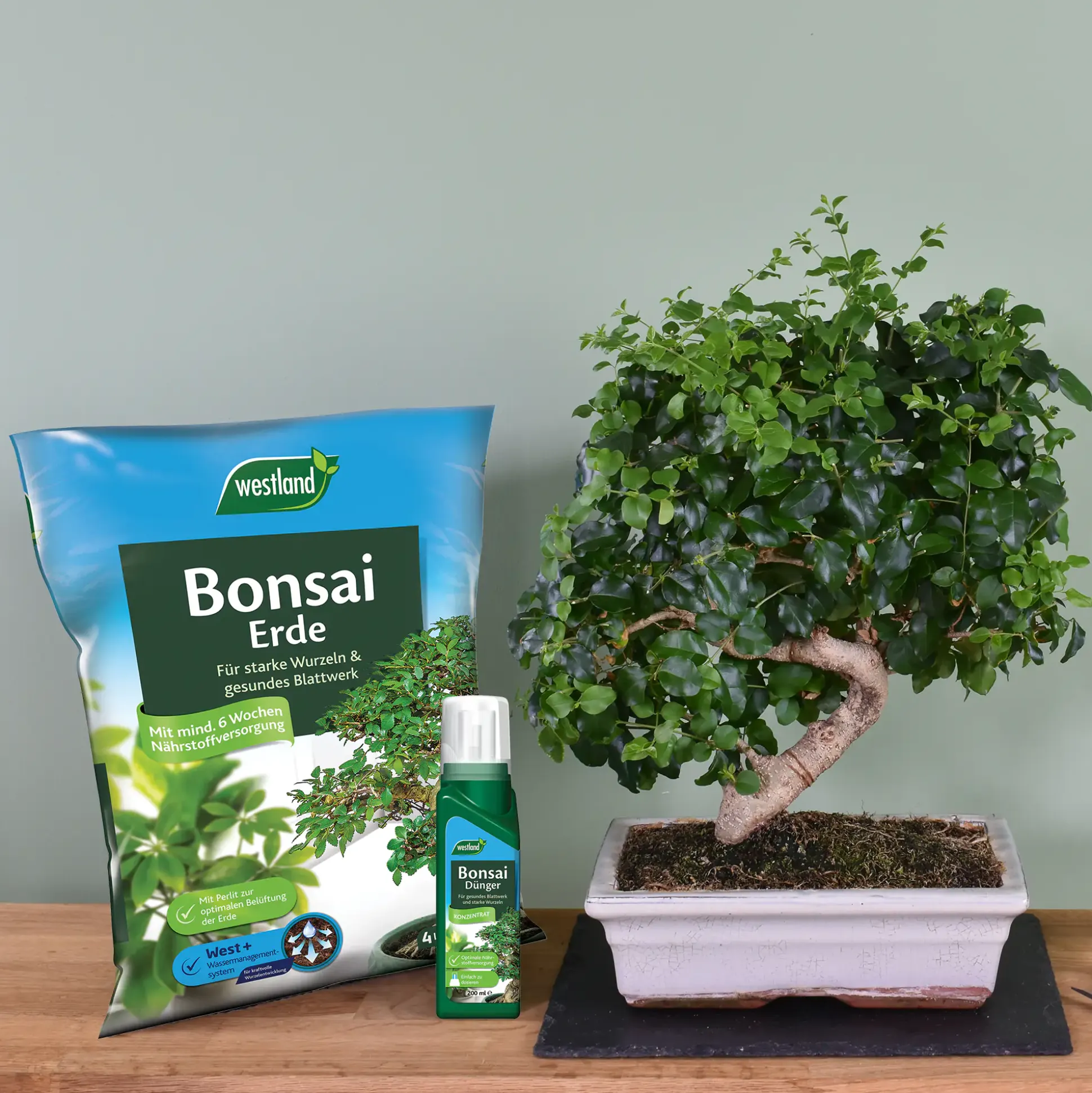Westland Bonsai Dünger 200 ml