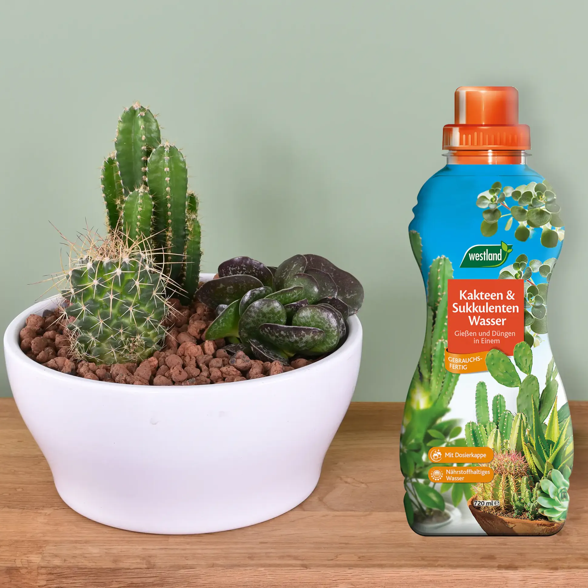 Westland Kakteen- & Sukkulenten Wasser 720 ml