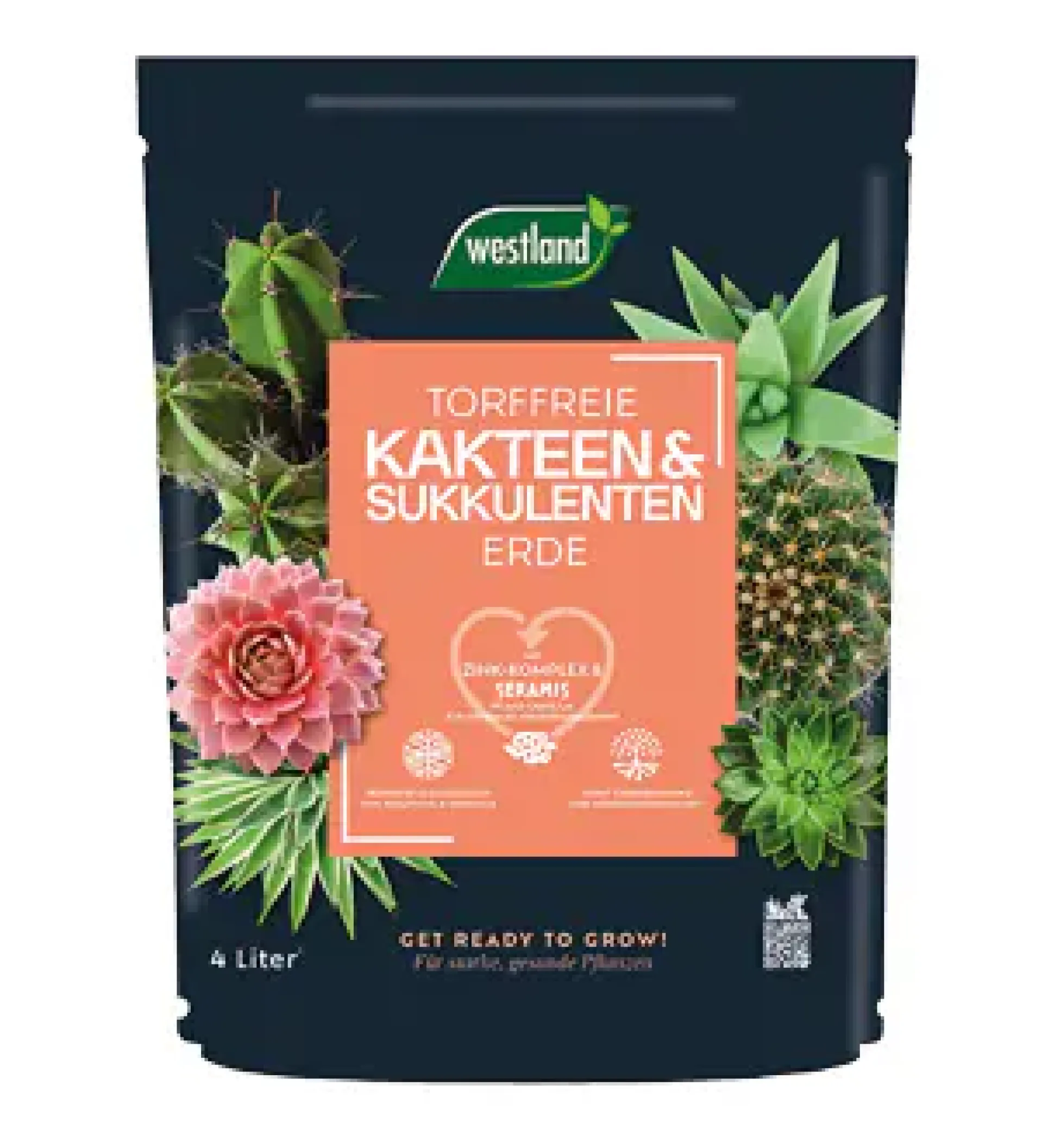 Westland Kakteen Sukkulenten Erde torffrei 4 L