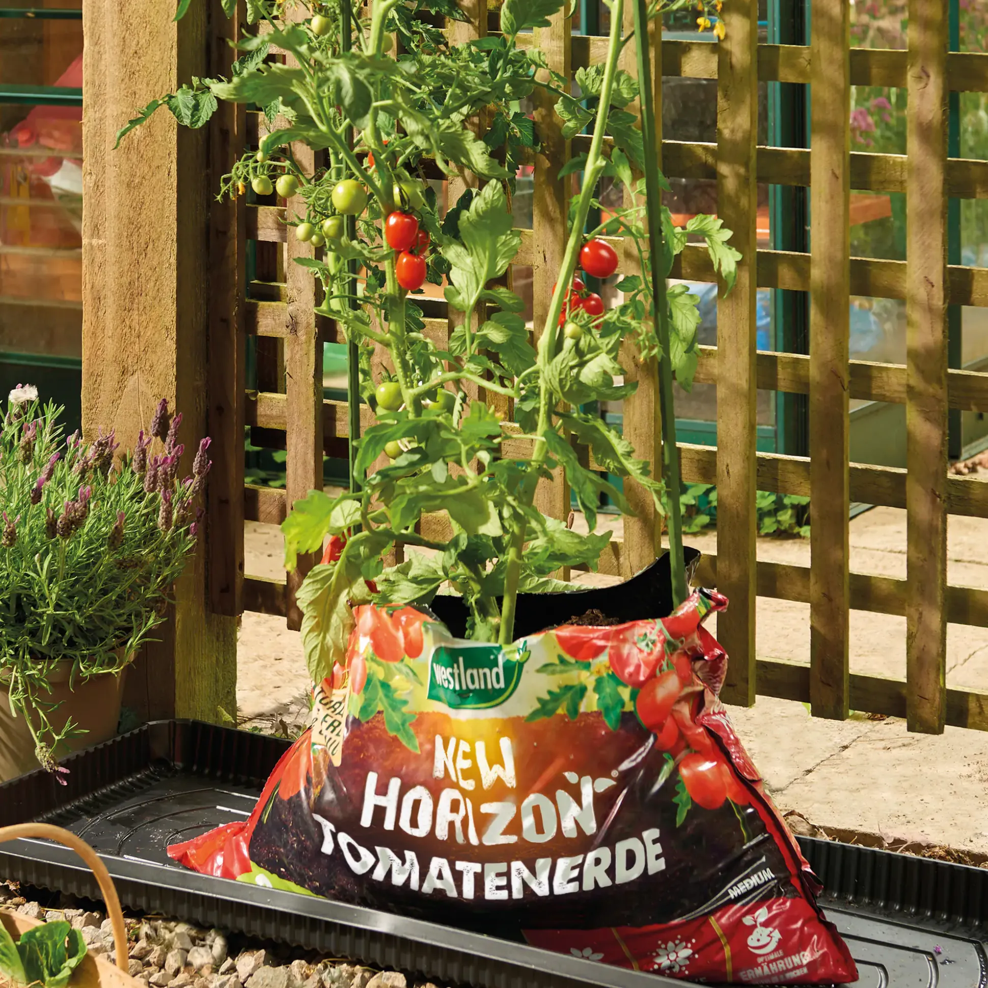 Westland New Horizon torffreie Tomatenerde 20 l