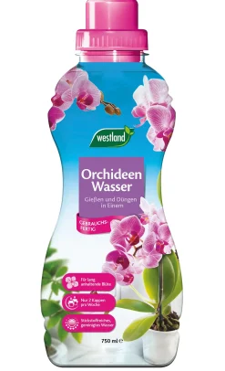 Westland Orchideen Wasser