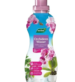 Westland Orchideen Wasser