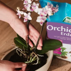 Westland Orchideenerde 8 l