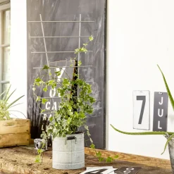 Windhager Blumenstütze 77x34cm 77 x 34 cm