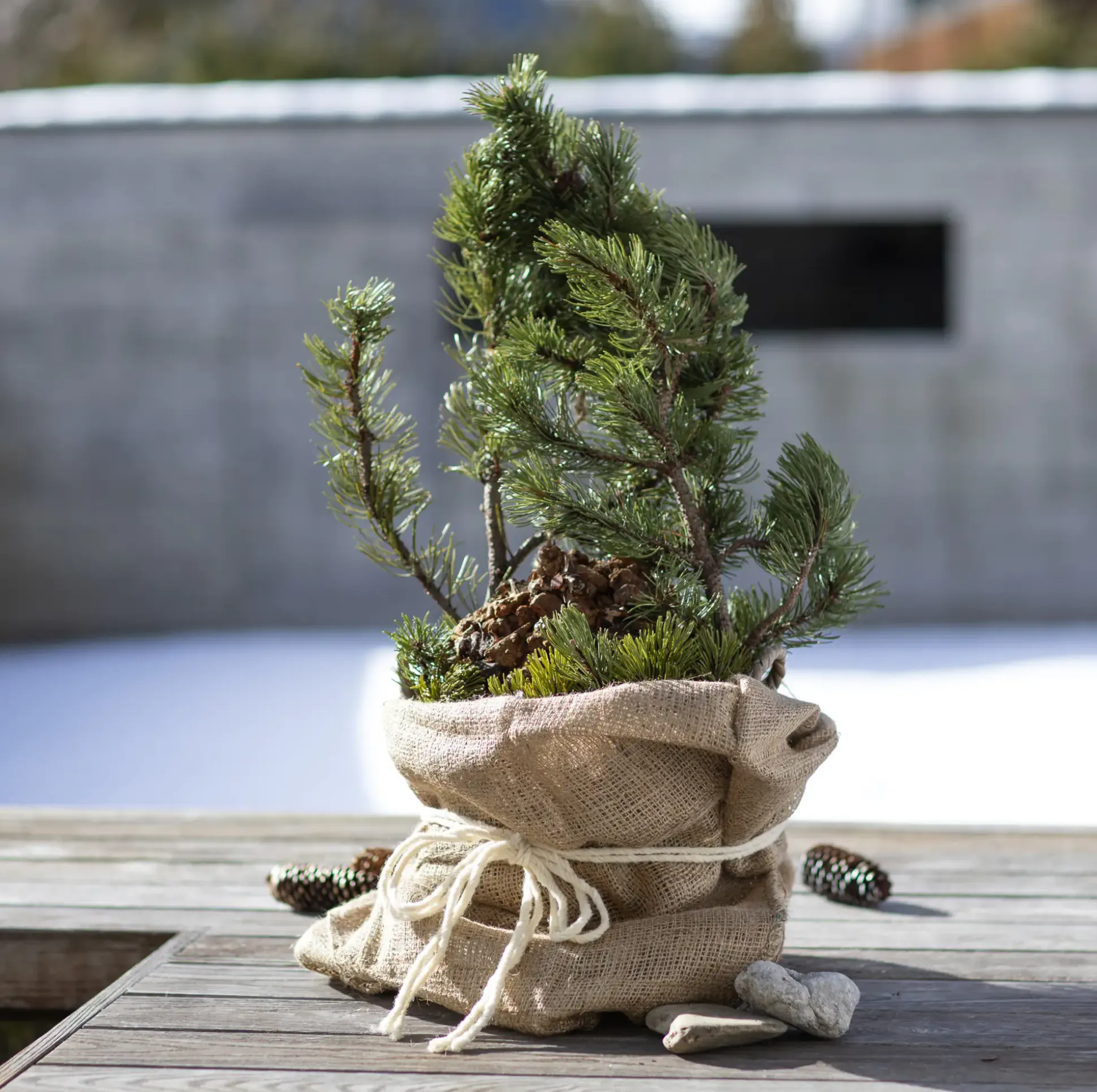 Windhager Jute-Sack 100 x 110 cm, natur