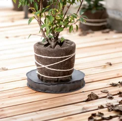 Windhager Kälteschutz Topfuntersetzer Ø 45 cm