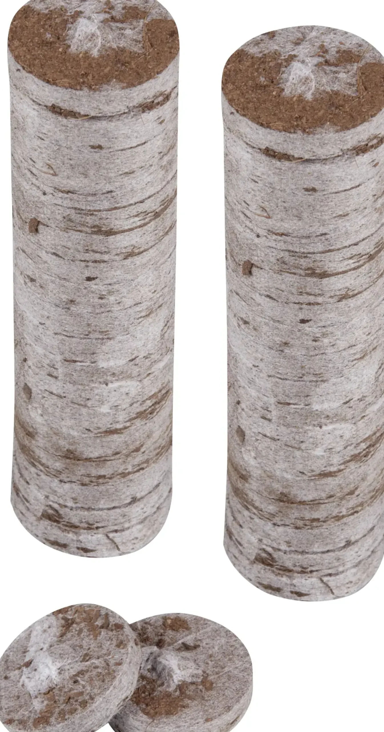Windhager Kokosquelltabs 3,5 cm, 50 Stück