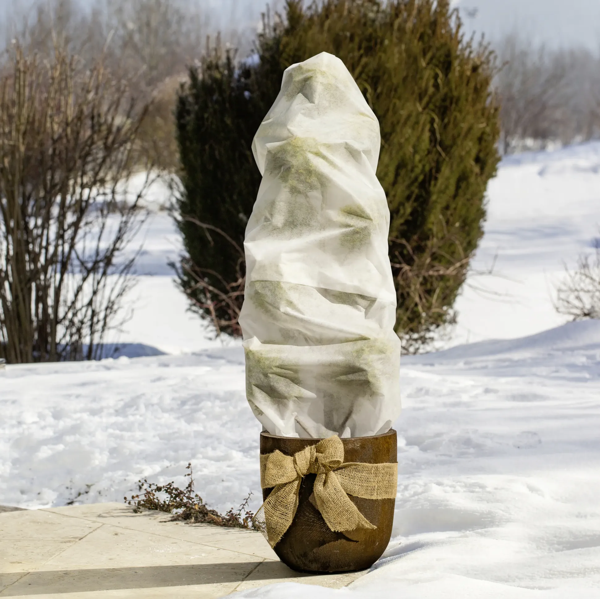 Windhager Öko-Wintervlies 1,5 x 5 m