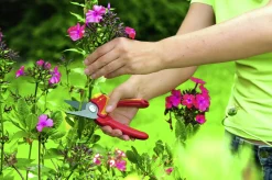 Wolf Garten Gartenschere RR 1500 BASIC PLUS bis zu Ø 18 mm Aststärke