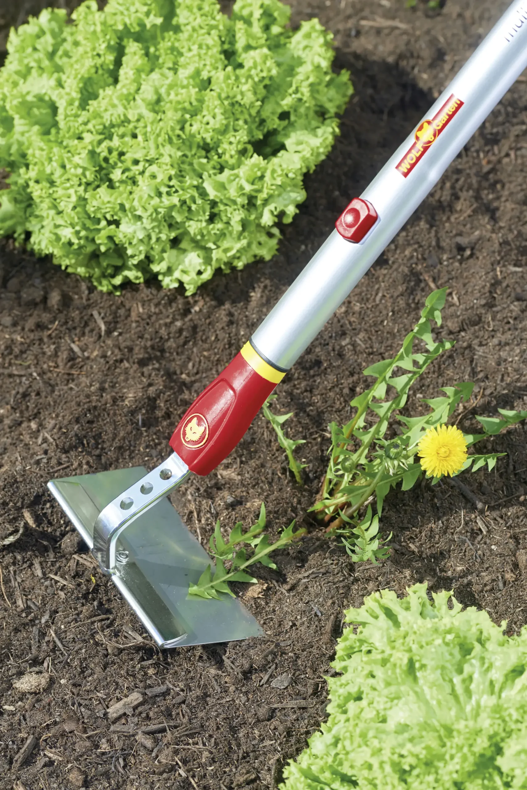 Wolf Garten Hacke HW-M 15 Multi-Star, 15 cm Arbeitsbreite