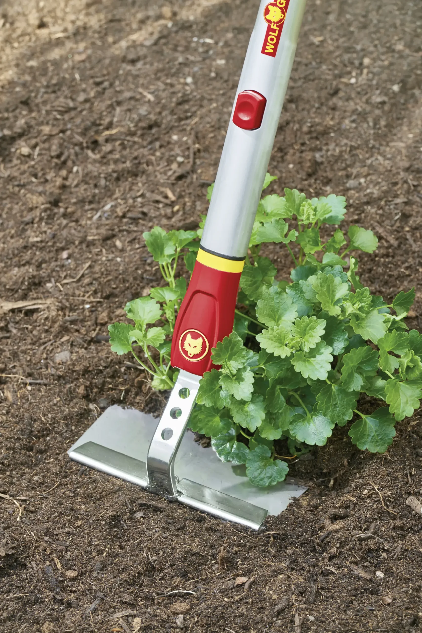 Wolf Garten Hacke HW-M 15 Multi-Star, 15 cm Arbeitsbreite