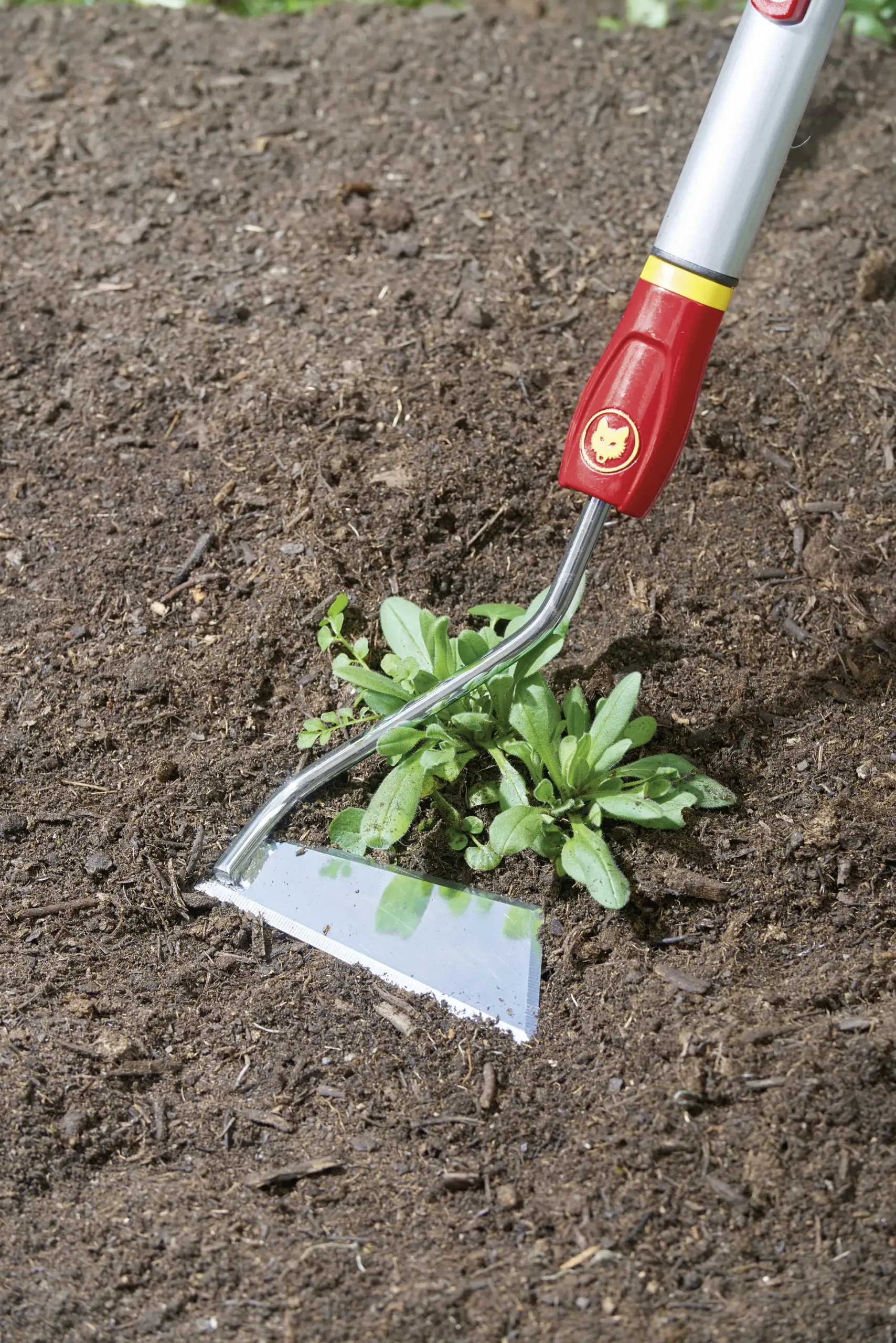 Wolf Garten Jätgerät Multi-Star SH-M 15 cm Arbeitsbreite