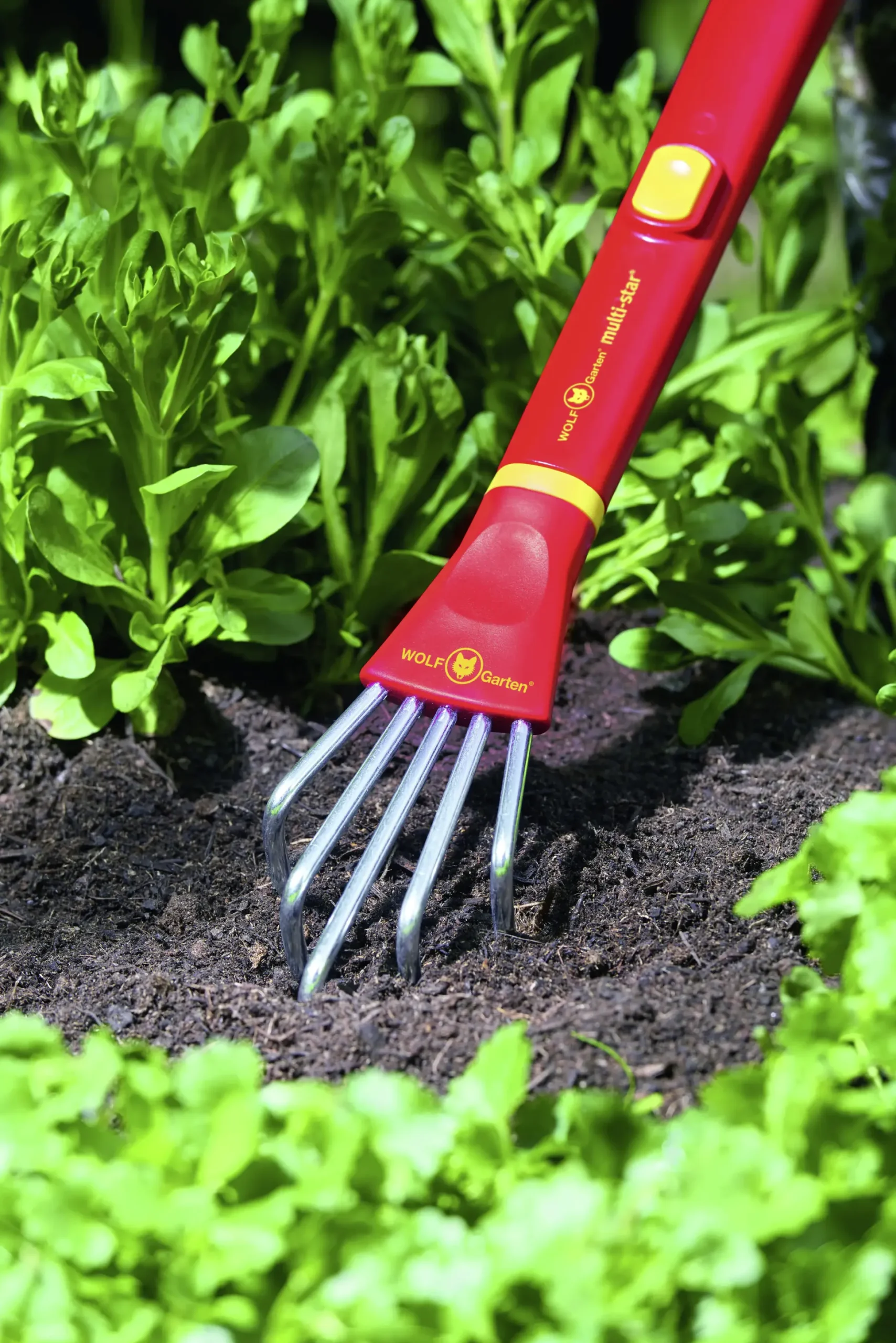 Wolf Garten Kralle LF-M 6,5 cm Arbeitsbreite
